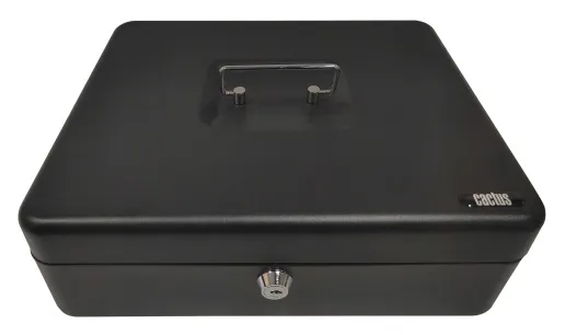 Фото Ящик для денег Cactus CS-CB-004 90x300x240