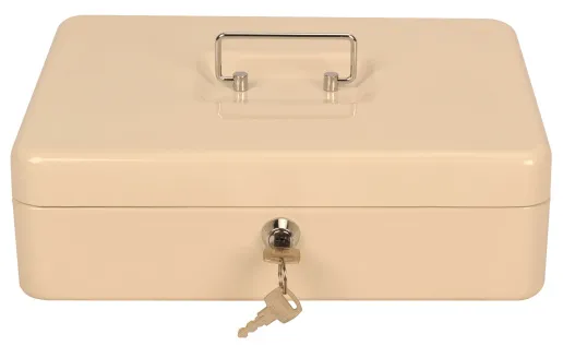 Фото Ящик для денег Cactus CS-CB-004WT 90x300x240 бежевый металл