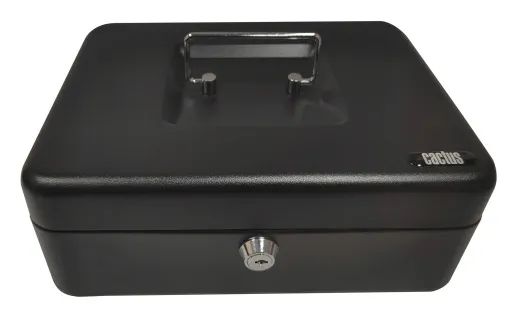 Фото Ящик для денег Cactus CS-CB-003 90x250x180