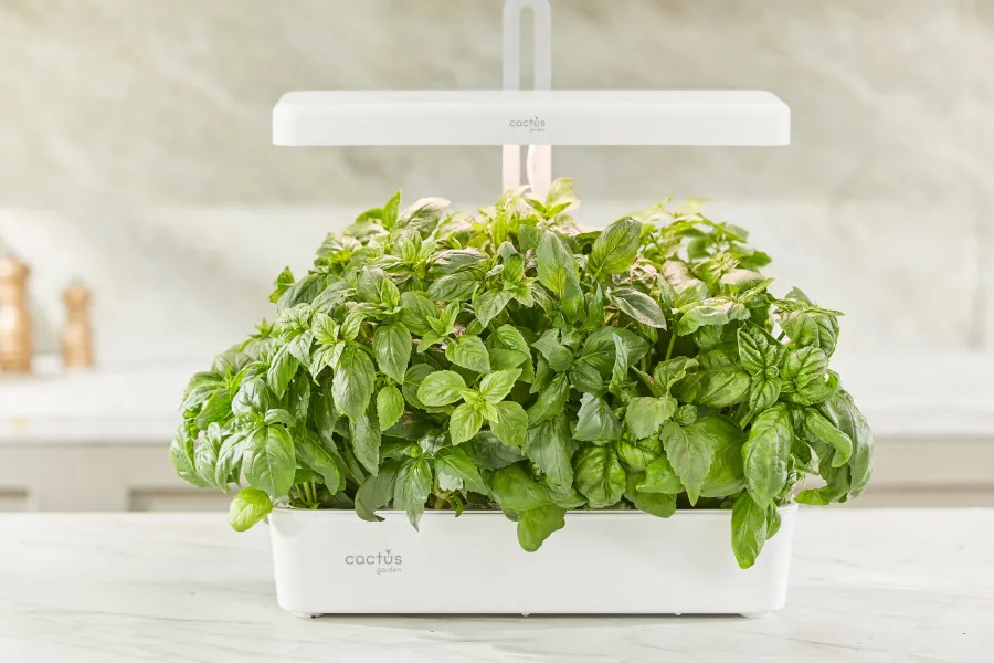 Кашпо Cactus Garden CS-LEDPOT-10 2.0л белый