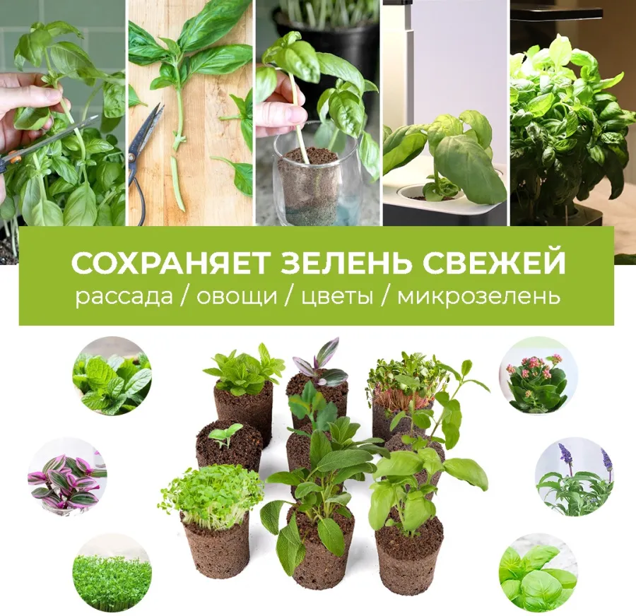 Набор питательных губок Cactus CS-SPONGE-11 для проращивания для CS-LEDPOT-11/SMARTPOT-11 (упак.:11ш
