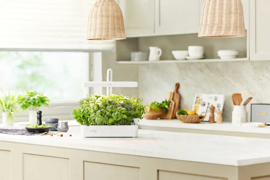 Кашпо Cactus Garden CS-LEDPOT-10 2.0л белый