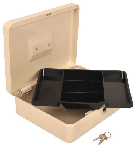 Фото Ящик для денег Cactus CS-CB-004WT 90x300x240 бежевый металл