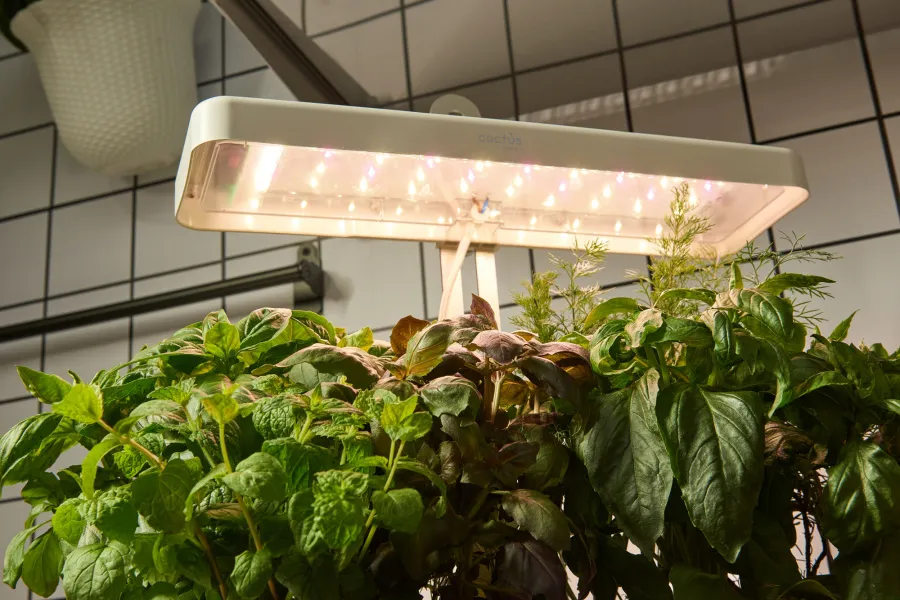 Кашпо Cactus GARDEN 3.0л белый (CS-LEDPOT-08)