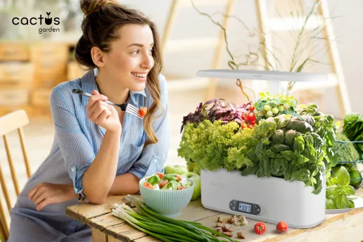 Фото Кашпо Cactus GARDEN 3.0л черный (CS-LEDPOT-06)