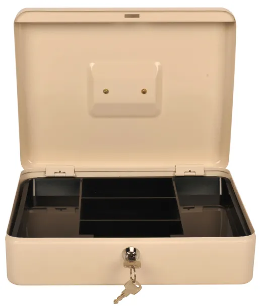 Фото Ящик для денег Cactus CS-CB-004WT 90x300x240 бежевый металл